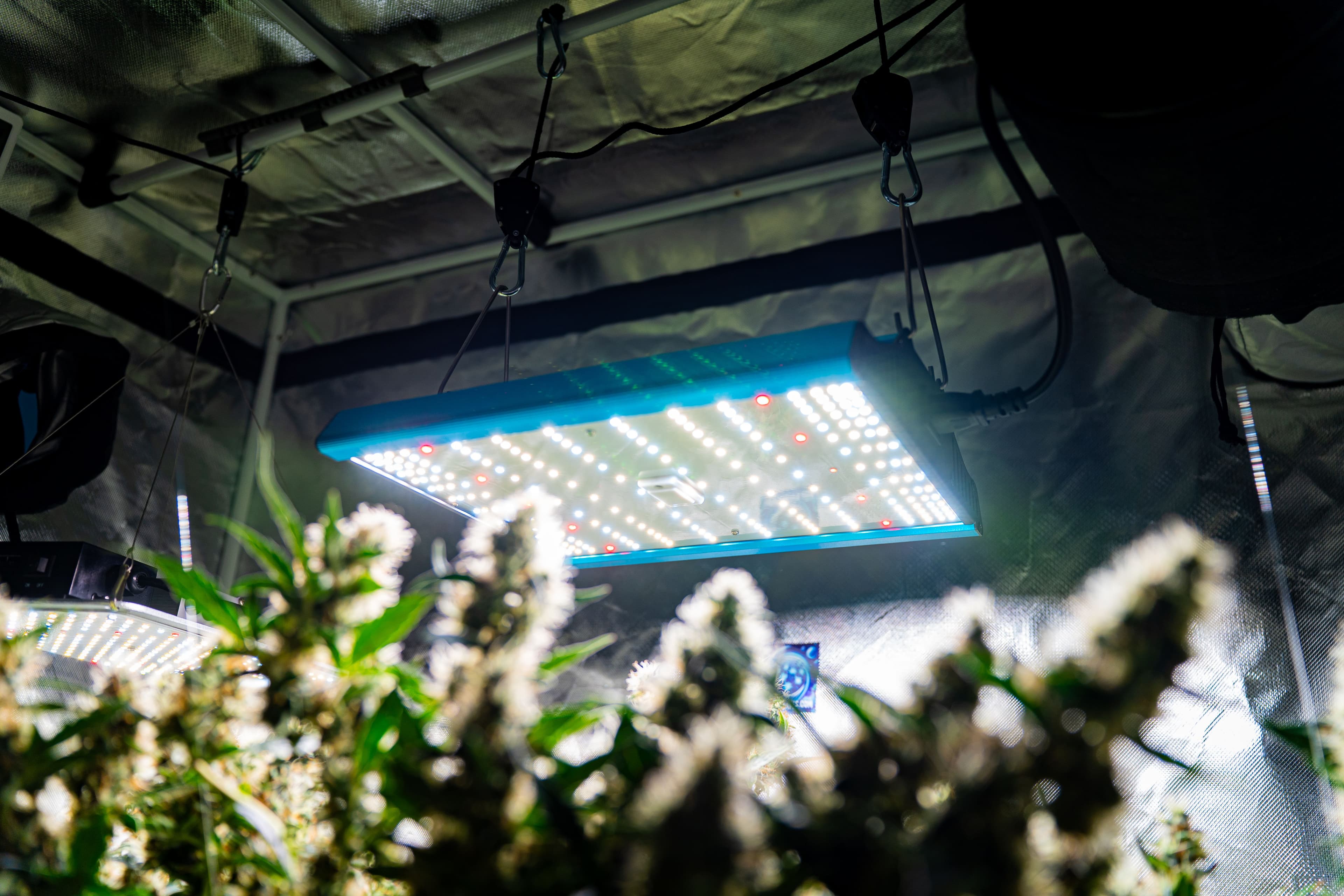 Stromkosten LED vs NDL