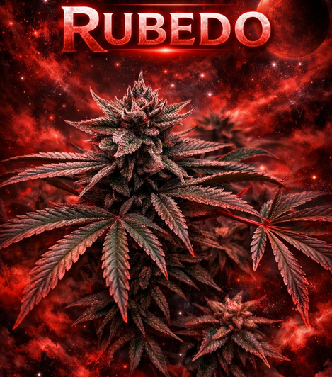 Rubedo Visual in roter kosmischer Optik